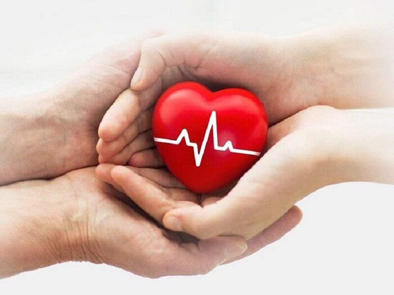 ثبت هجدهمین اهدای عضو سال جاری در یزد