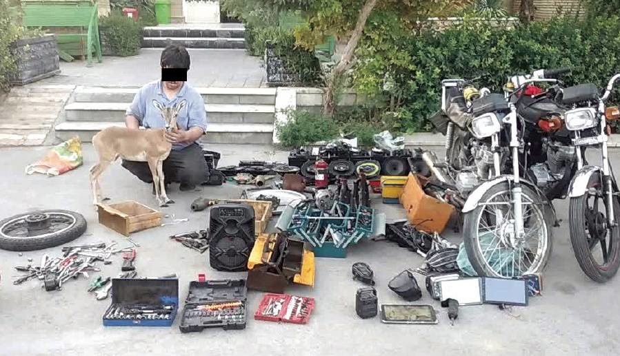 زندگی بره‌آهو در انباری بزرگ اموال سرقتی طبرسی شمالی مشهد | آخرین خبر