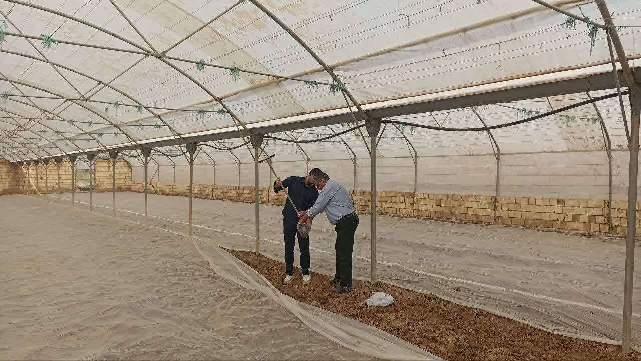 خبر یزد