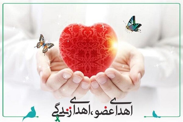 بیست‌ویکمین اهدای عضو سال جاری در یزد ثبت شد