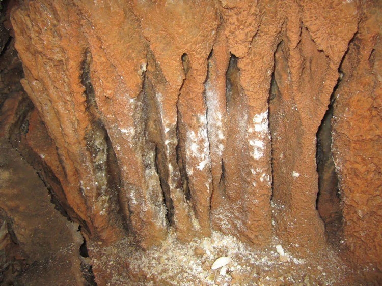 خبر یزد