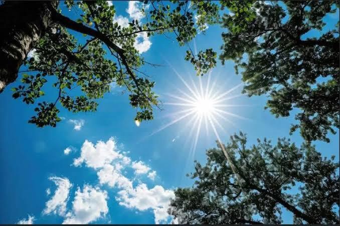 کاهش نسبی دمای یزد از فردا سه شنبه