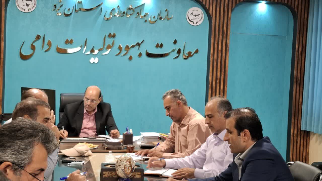خبر یزد