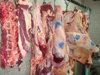 تأکید دامپزشکی یزد بر توجه مردم به مهر و برچسب بهداشتی گوشت