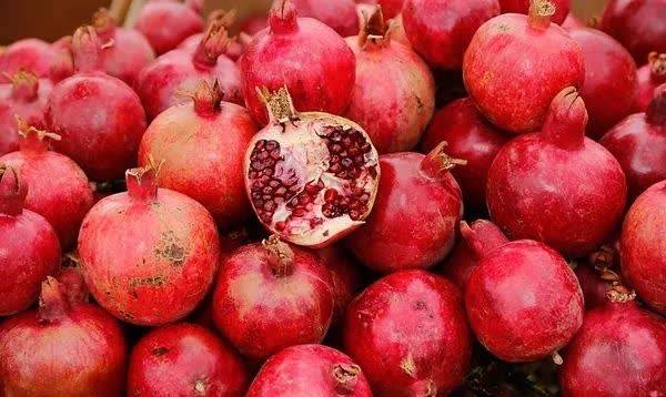 خبر یزد